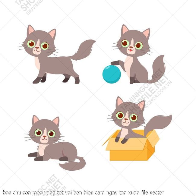 bon chu con meo vang tet voi bon bieu cam ngay tan xuan file vector